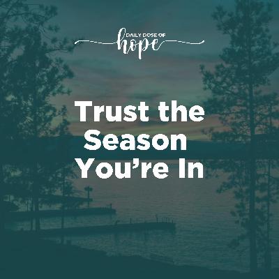 Trust the Season You’re In EP 313