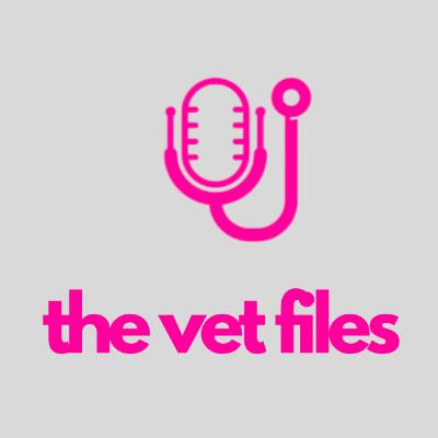 File #006: Student Loans after the Big Beautiful Bill- with Dr. Rebecca Mears (VIN Foundation)