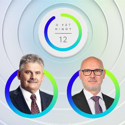 Ján Richter (Smer-SD), Branislav Gröhling (SaS) (30.11.2025 11:55)