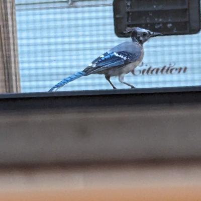 Reset Button Reset Button