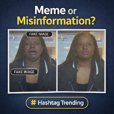 Meme or Misinformation?