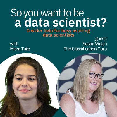 #17 - Starting a business on data with Susan Walsh, The Classification Guru