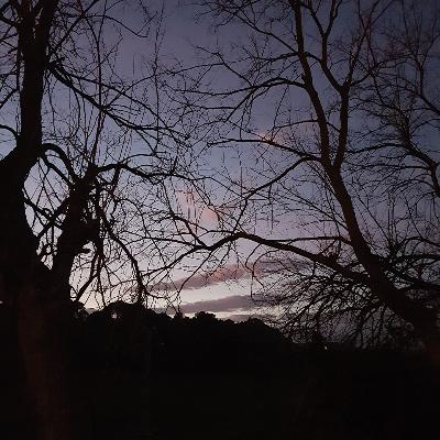 Weaning the dark forest of her milky light Weaning the dark forest of her milky light