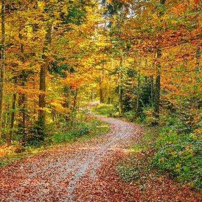 Wie klingt der Herbst?
