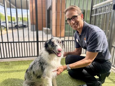 Tough decisions when the cost of pet ownership soars