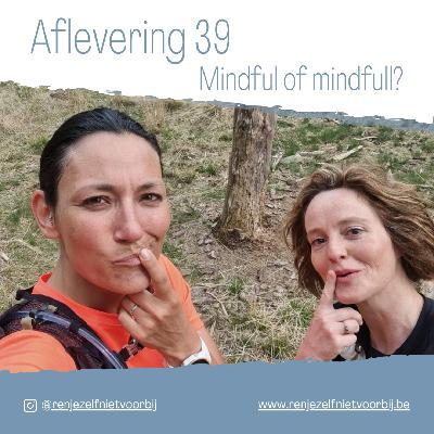 Mindful of mindfull?