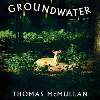Little Atoms 972 - Thomas McMullan's Groundwater Little Atoms 972 - Thomas McMullan's Groundwater