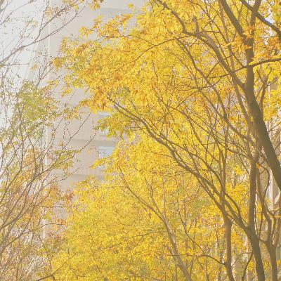 E02.许久不发朋友圈真的能变成现充吗? E02.许久不发朋友圈真的能变成现充吗?