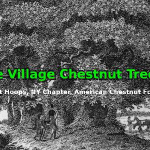 An interview with the President… An interview with the President…