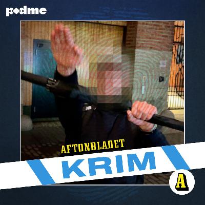 Nazisternas våldsnatt