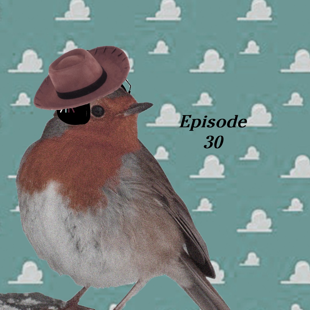 The Round Robin Podcast