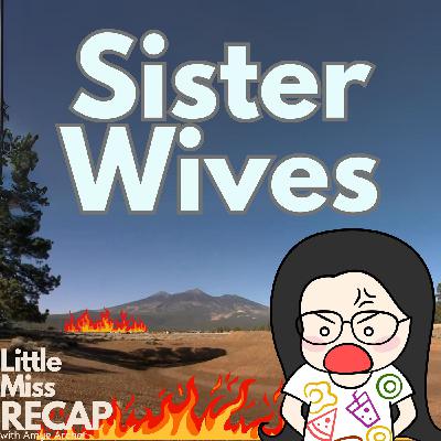 Bookclub: Christine Brown Wooley’s Sister Wife Part 3 “Wife”