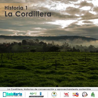 Historia 1 / La Cordillera