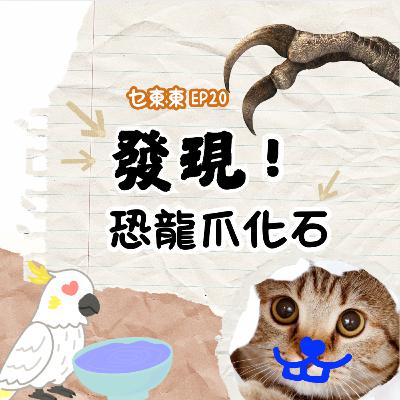 EP20: 發現恐龍爪化石