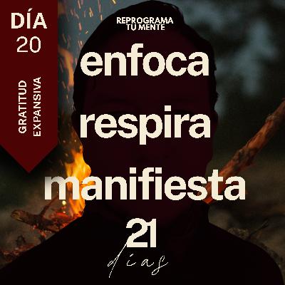 🌻👁️141 - Día 20 "Gratitud expansiva" - (21 días de meditación)