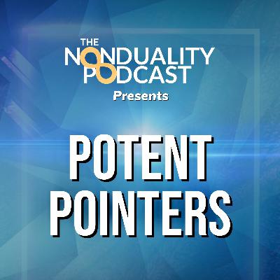 1 - Potent Pointers - from the Nonduality Podcast
