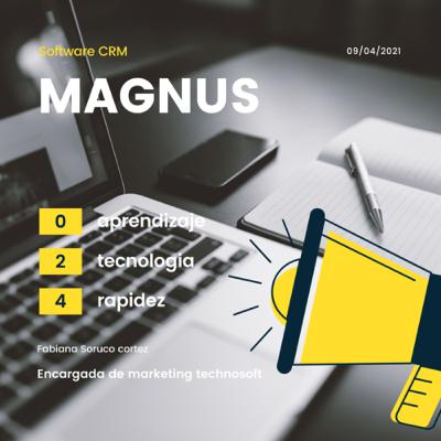 MAGNUS SOFTWARE CRM