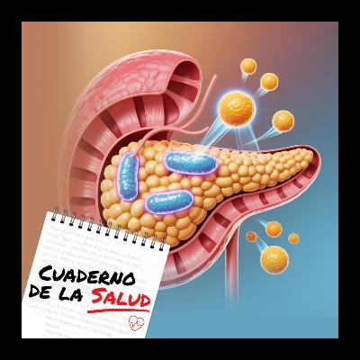 Diabetes en Ecuador: solo 3 de cada 100 personas están controladas Diabetes en Ecuador: solo 3 de cada 100 personas están controladas