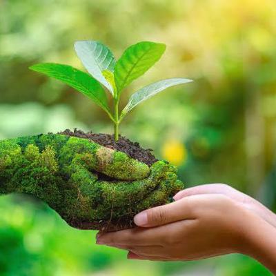 El medio ambiente