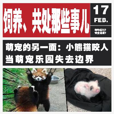Vol.127 大猪当宠物，小熊猫伤人，动物和人的边界在哪？