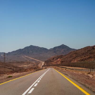 "הרחפנים כמו יתושים, לייבש את הביצה"