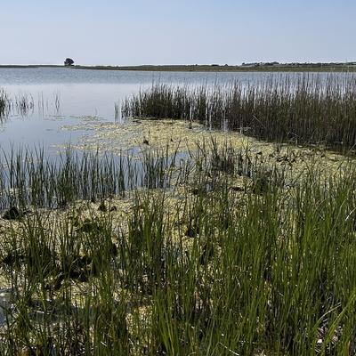 Quality of surface water continues to decline, says EPA