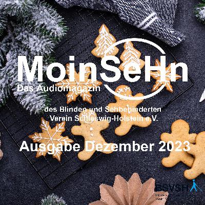 MoinSeHn Ausgabe Dezember 2024