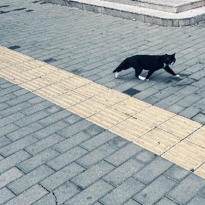 寥聊 #127 黑白与无常