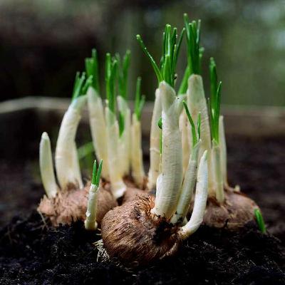 Episode 92: März-Meditation - Erwachen und Erneuerung Episode 92: März-Meditation - Erwachen und Erneuerung