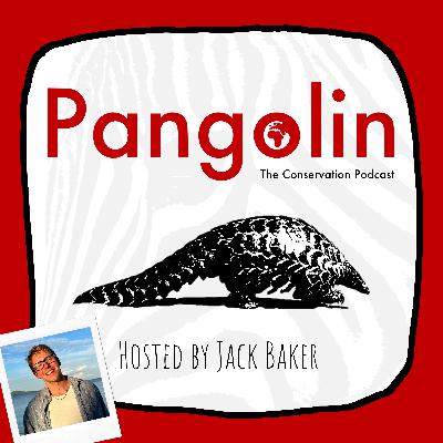 Announcing 'Songs of the Skies' & Pangolin Pride 2025!