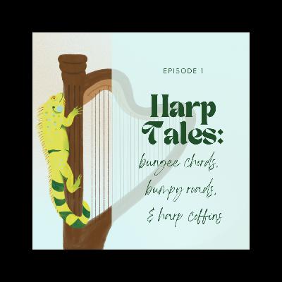 Bungee Chords, Bumpy Roads, & Harp Coffins