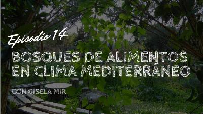 Bosques de alimentos en climas mediterráneos, con Gisela Mir
