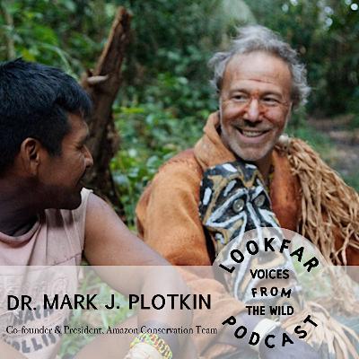 Mark Plotkin - Protecting Indigenous Knowledge and Conserving the Amazon Mark Plotkin - Protecting Indigenous Knowledge and Conserving the Amazon