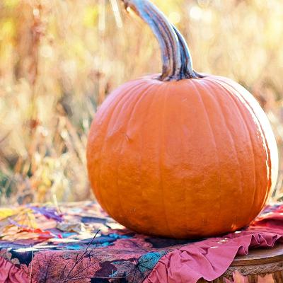 EL TEMPLE DEL GOS: EL CASSETTE DE CLAUDIA (CACHEMIRA, LUCIFER)