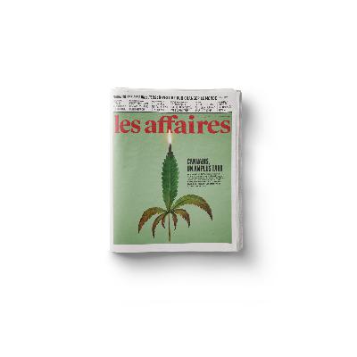 L'industrie du cannabis, ce feu de paille de la Bourse L'industrie du cannabis, ce feu de paille de la Bourse
