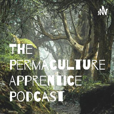 Editing your Podcast!