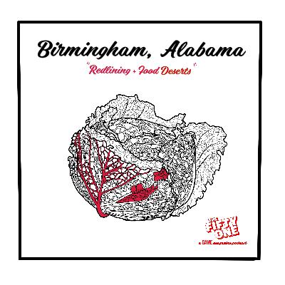 Tracing Red Lines and Food Insecurity in Birmingham, Alabama