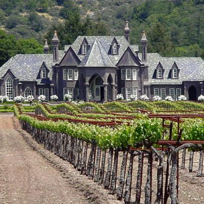 Steve Ledson on History of Ledson Winery in Sonoma, Wines, Fantastic Facilities, Exciting New Stuff