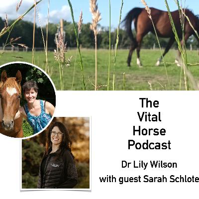 Trauma-informed horse-human partnerships with Sarah Schlote Trauma-informed horse-human partnerships with Sarah Schlote