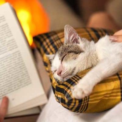 Snuggle in and I'll read you a story.