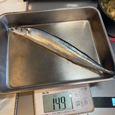 サンマ特集！みんなサンマ食べた？