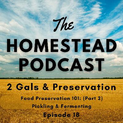 Ep. 18 - "From Pickling to Fermenting: How to Preserve Foods for a Healthy Gut and Sustainable Lifestyle" - Food Preservation 101 - Part 2
