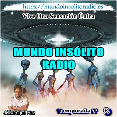 842/11. OVNIS: Teorías alternativas. Testigos de otra realidad. Lo que no te dicen de los OVNIS. Criaturas extrañas. 842/11. OVNIS: Teorías alternativas. Testigos de otra realidad. Lo que no te dicen de los OVNIS. Criaturas extrañas.