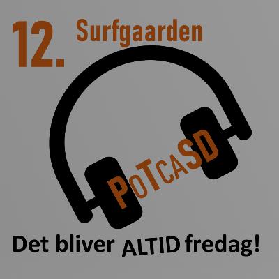 12. Surfgaarden | Anders, forstander | En PTSD Oase