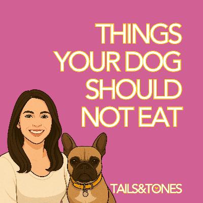 6: Don’t Feed Your Dog This: Common Foods That Can Kill or Harm Them