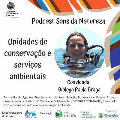 Unidades de Conservação e Serviços Ambientais Unidades de Conservação e Serviços Ambientais