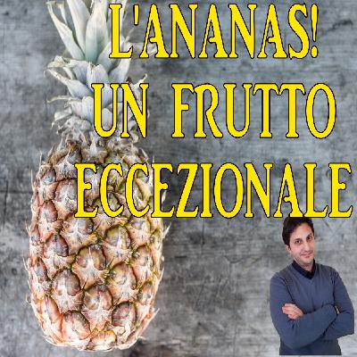 Episodio 95 - ANANAS FRUTTO IDRATANTE E PIENO DI SORPRESE? Capiamolo assieme Episodio 95 - ANANAS FRUTTO IDRATANTE E PIENO DI SORPRESE? Capiamolo assieme