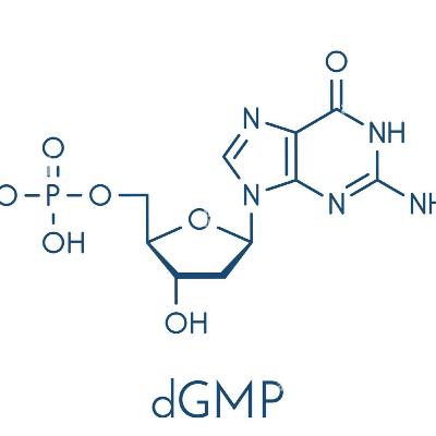 Clase - cadenas de nucleótidos (Ácido desoxiribonucleico - ADN)