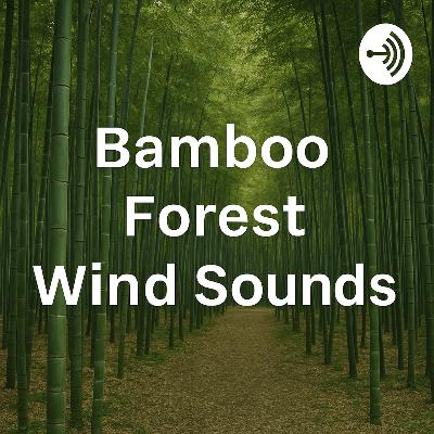 Bamboo Forest Wind Sounds 10 Hours