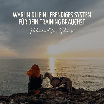 Warum du ein lebendiges System für dein Training brauchst Warum du ein lebendiges System für dein Training brauchst